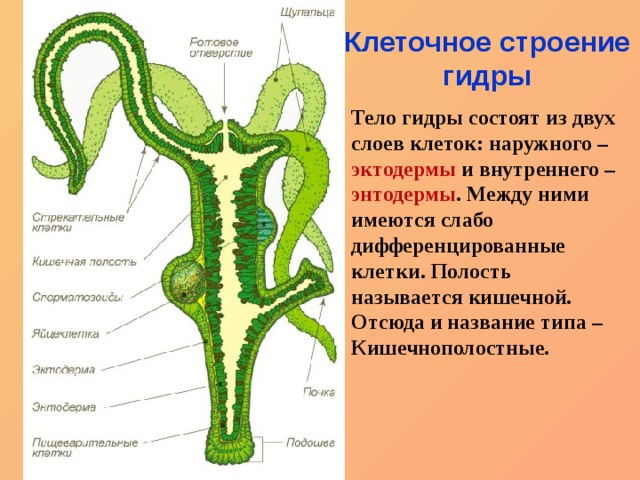 Кракен маркет плейс