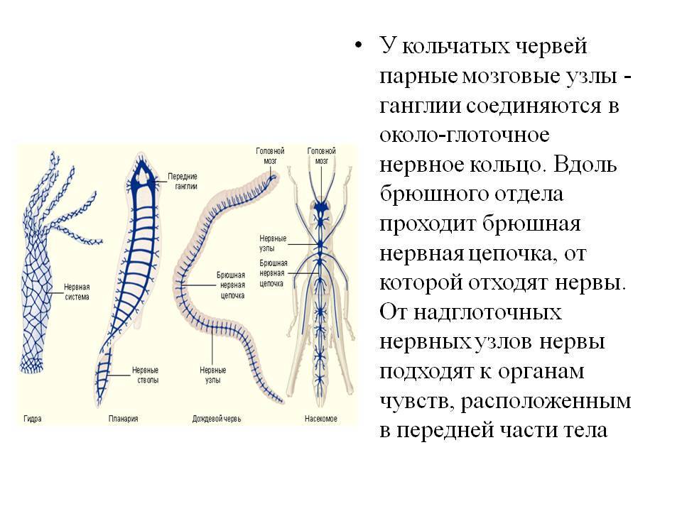 Kra37.cc