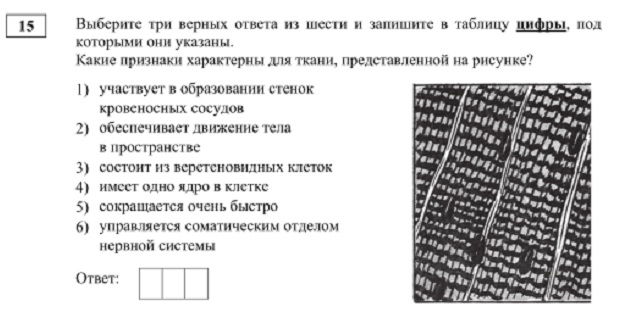Кракен купить гашиш